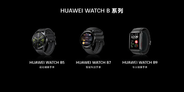Huawei WATCH B series Huawei WATCH B series
