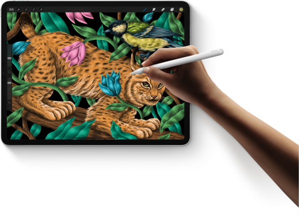 iPad Pro iPad Pro
