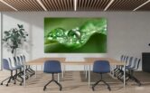 Sony launches 135-inch Crystal LED UNIFY display for commercial use