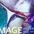 Huawei MateBook: Flagship Notebooks for Performance & Design
