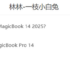 Thunder Hunting Blade 16 review: 4070 blessing to help play “Black Myth: Wukong”